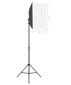 Luci Professionali Da Studio 2 Pz 40x60 Cm In Acciaio Nero