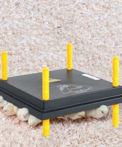 Chioccia Artificiale Piastra Per Pulcini E Anatroccoli 30x30 cm