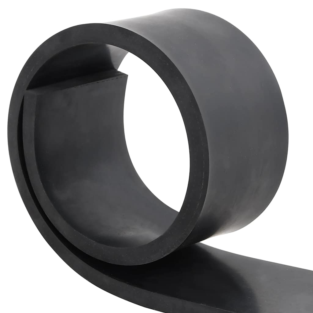 Bordo In Gomma Per Spazzaneve Nero 100x8x1 cm