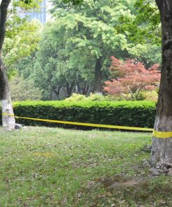 Slackline 15 M X 50 Mm 150 Kg Gialla