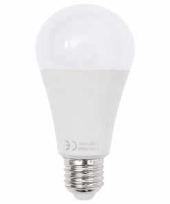 Kit Di Illuminazione Da Studio Con Fondali E Softbox