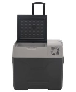 Borsa Frigo Con Ruote Adattatore Nera Grigia 30 L Polipropilene