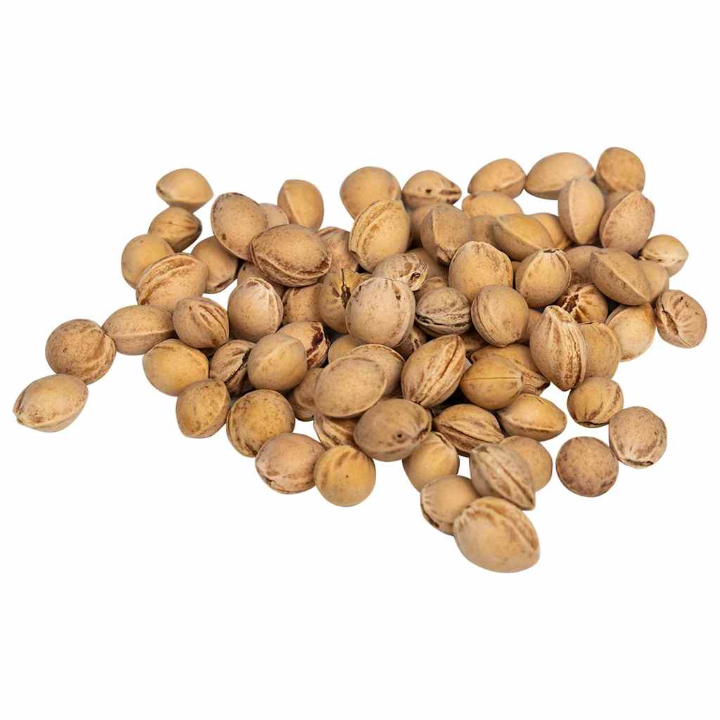 vidaXL Huesos de cereza para cojín térmico 20 kg