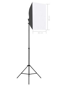 vidaXL Professionelle Studioleuchten 2 Stk. 40x60 cm Stahl Schwarz