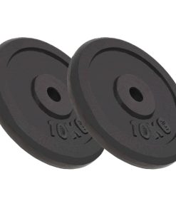 vidaXL Hantelscheiben 2 Stk. 2x10 kg Gusseisen