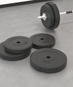 vidaXL Hantelscheiben 4 Stk. 30 kg Zement