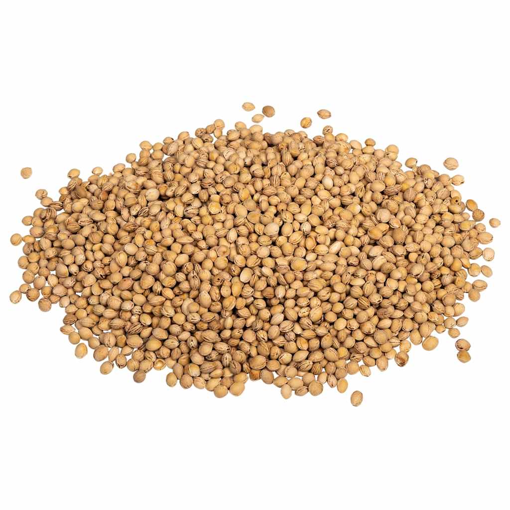 vidaXL Kirschkerne für Wärmekissen 25 kg