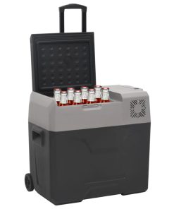 vidaXL Kühlbox mit Rollen und Adapter Schwarz & Grau 50 L Polypropylen