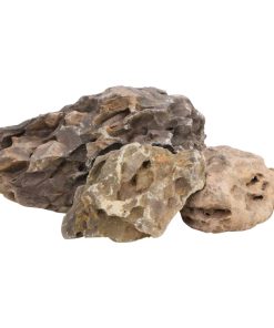 vidaXL Drachensteine 25 kg Grau 10-40 cm
