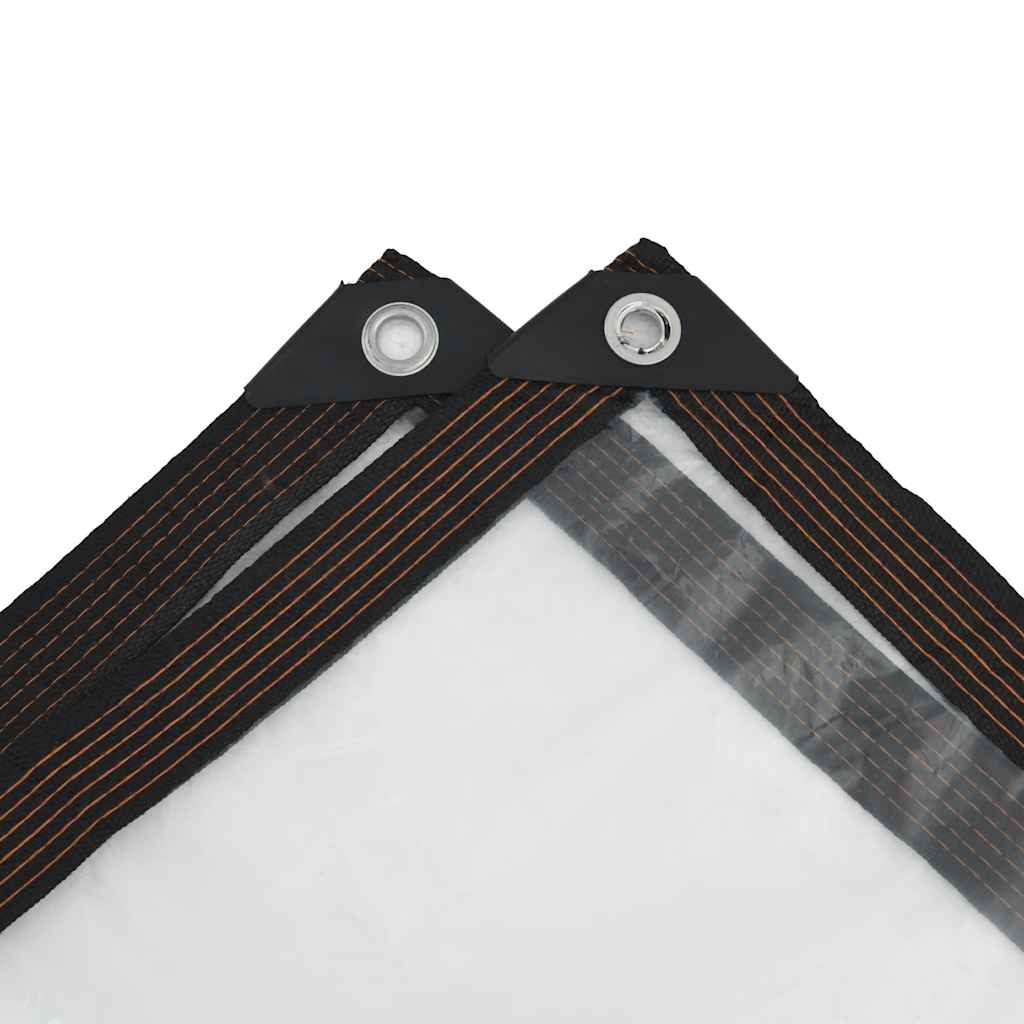 Telone Trasparente Con Occhielli 3x8 M In Polietilene