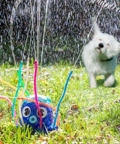 Giocattolo Spruzzatore d'Acqua Octodrop InnovaGoods