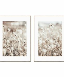 Tela DKD Home Decor polistirene Tela 75 x 4 x 100 cm