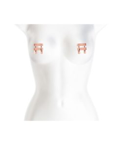 Pinze per Capezzoli NS Novelties V1