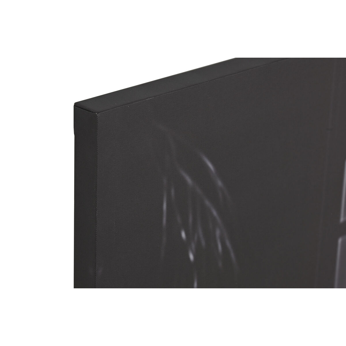 Tela Home ESPRIT Tela 120 x 3 x 80 cm