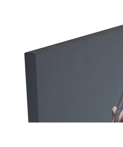 Tela Home ESPRIT Tela 80 x 3 x 120 cm