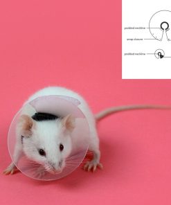 Collare Elisabettiano oer Roditori KVP Trasparente 7.5-10 cm