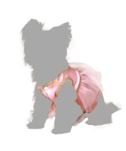 Costume per Cane Taglia S Ballerina Classica