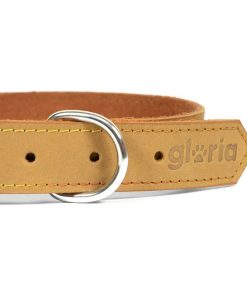 Collare per Cani Gloria Oasis Giallo (45 x 1,8 cm)