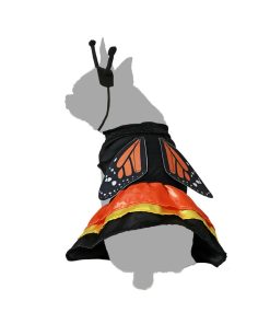 Costume per Cane Taglia M Farfalla