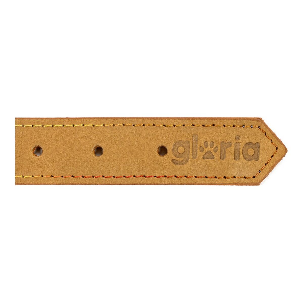 Collare per Cani Gloria Oasis Giallo (45 x 1,8 cm) - Image 5