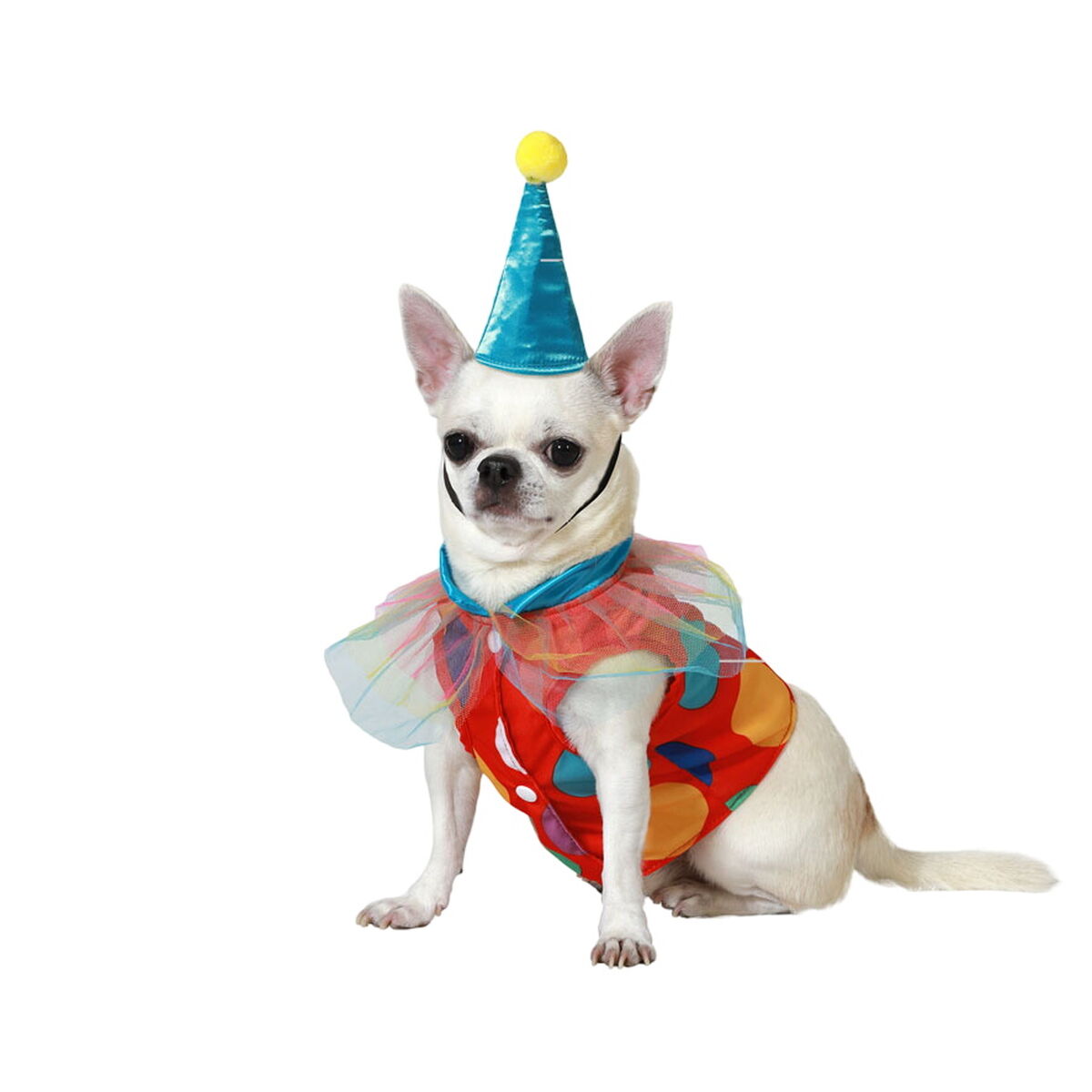 Costume per Cane Taglia M Pagliaccio - Image 3