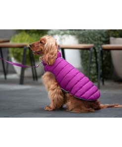 Cappotto per Cani Red Dingo Puffer Rosa/Viola 25 cm