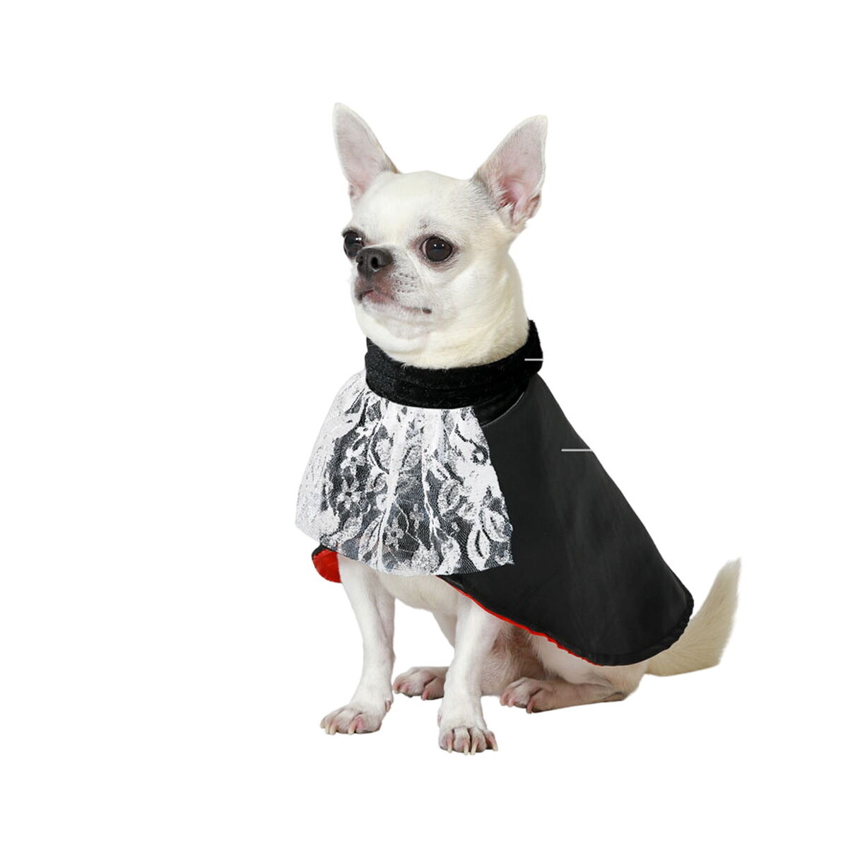Costume per Cane Vampiro Taglia S - Image 3