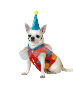 Costume per Cane Taglia S Pagliaccio