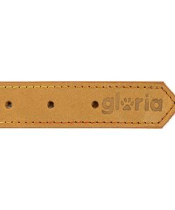 Collare per Cani Gloria Oasis Giallo (1,5 x 40 cm)