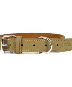 Collare per Cani Gloria Oasis Verde (40 x 1,5 cm)