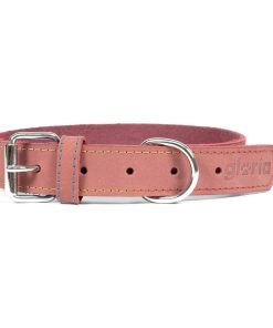 Collare per Cani Gloria Oasis Rosa (45 x 1,8 cm)