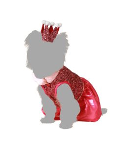 Costume per Cane Taglia S Principessa