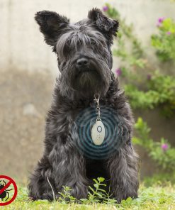 Antiparassitario a Ultrasuoni Ricaricabile per Animali Domestici PetRep InnovaGoods