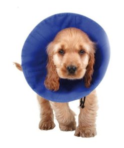Collare elisabettiano per cani KVP EZ Soft Azzurro (9-25 cm)