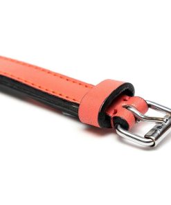 Collare per Cani Gloria Trapunta Corallo (35 x 1,5 cm)