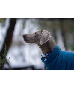 Cappotto per Cani Red Dingo Puffer Turchese 25 cm