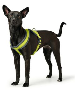 Imbracatura per Cani Hunter London Comfort XS-S 39-47 cm Lime