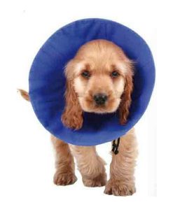 Collare elisabettiano per cani KVP EZ Soft Azzurro (14-31 cm)