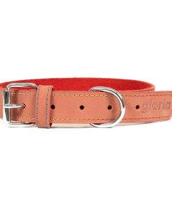 Collare per Cani Gloria Oasis Rosso (65 x 3 cm)
