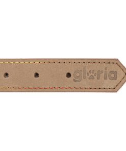 Collare per Cani Gloria Oasis Bianco (50 x 2,1 cm)