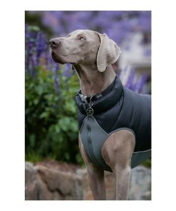 Cappotto per Cani Red Dingo Puffer 50 cm Nero/Grigio