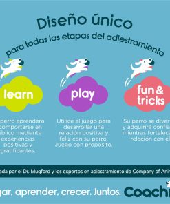 Giocattolo da allenamento Coachi Stick Azzurro