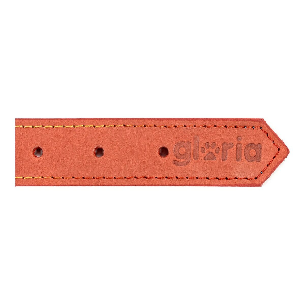 Collare per Cani Gloria Oasis Rosso (35 x 1,2 cm) - Image 5