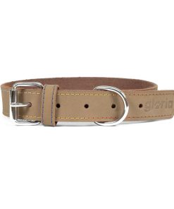 Collare per Cani Gloria Oasis Bianco (1,5 x 40 cm)