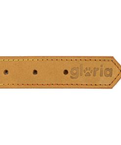 Collare per Cani Gloria Oasis Giallo (70 x 3 cm)