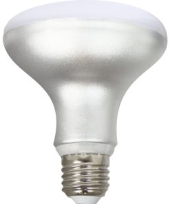 Lampadina LED Silver Electronics R90 E27 Bianco Grigio A++ 12 W (5000 K)