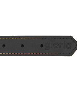 Collare per Cani Gloria Oasis Nero (1,2 x 35 cm)