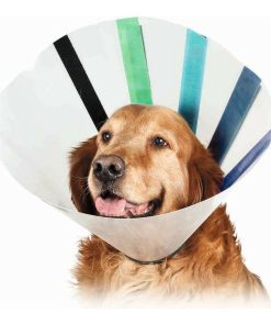 Collare elisabettiano per cani KVP EZ Clear (16-19 cm)