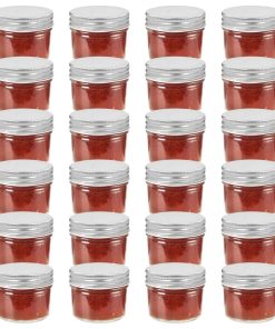 vidaXL Marmeladengläser mit Silbernen Deckeln 24 Stk. 110 ml