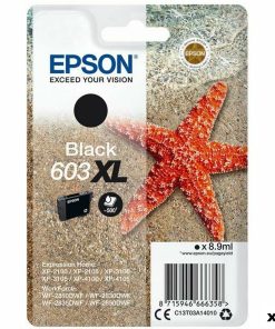 Cartuccia ad Inchiostro Originale Epson 603 XL Nero (10 Unità)